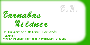 barnabas mildner business card